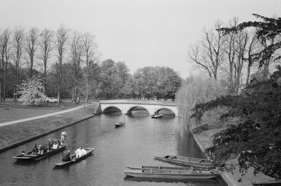 Cambridge desde Londres imagen 1