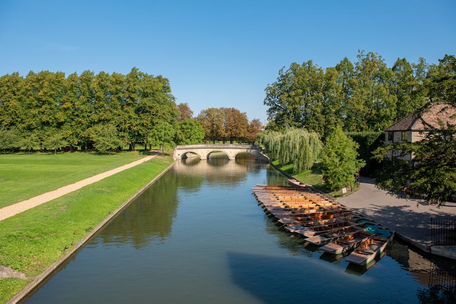 Cambridge desde Londres imagen 3