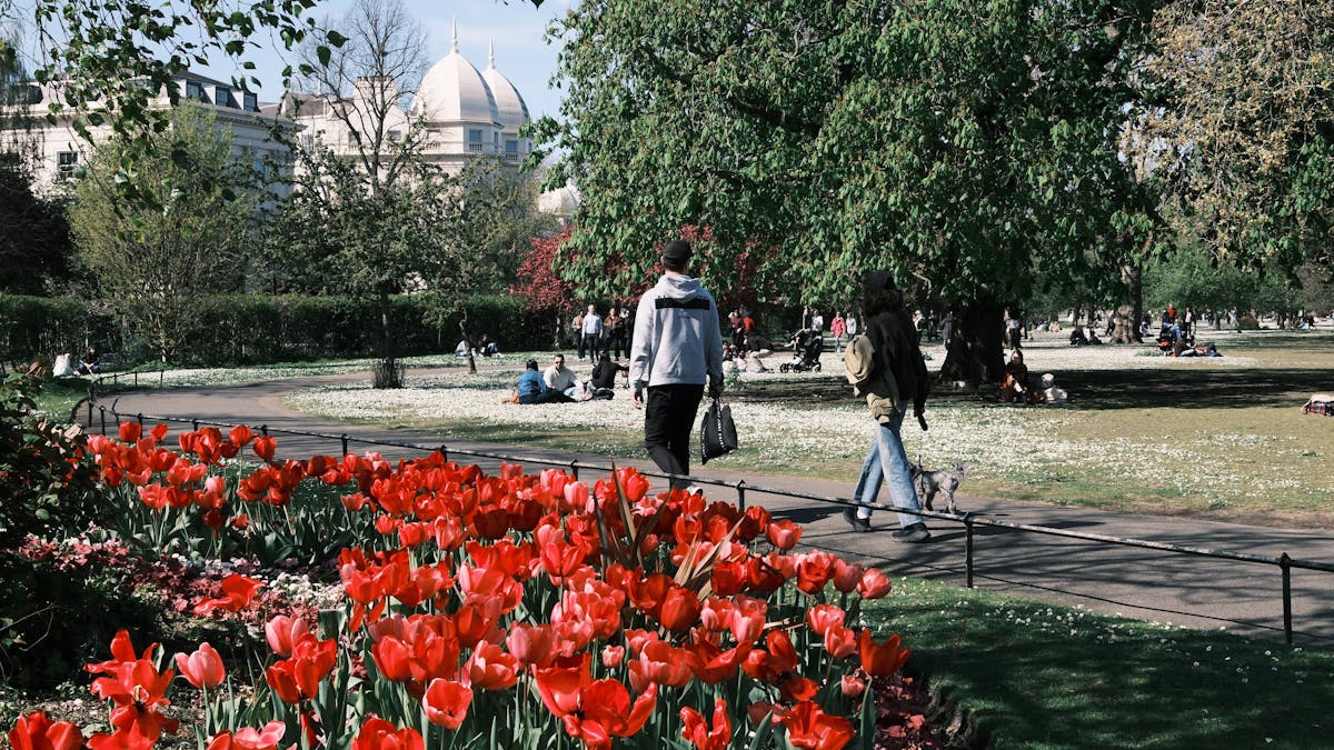 entradas gratuitas londres