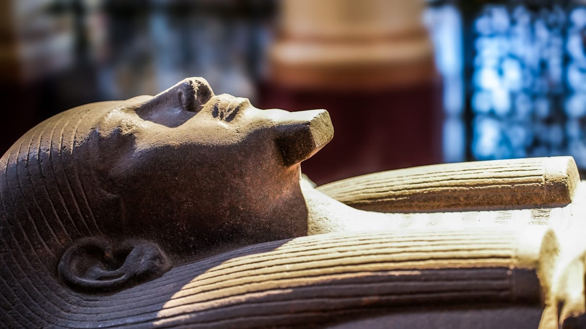 british museum gratis