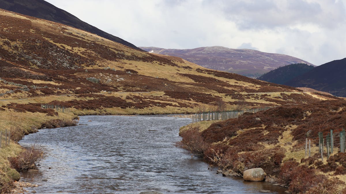 Viajar al Reino Unido en 2026 — pasaporte edimburgo